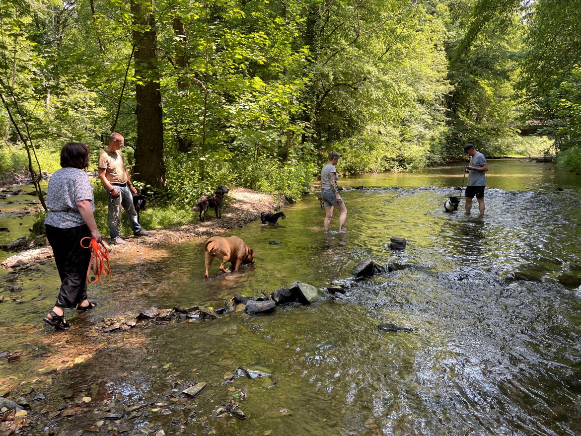 Social Walks